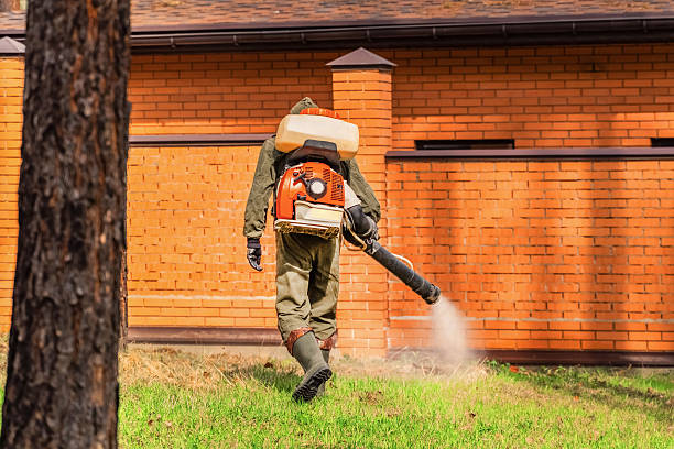 Trusted Rodent Control service in Tower City, PA - Nex Pest Control